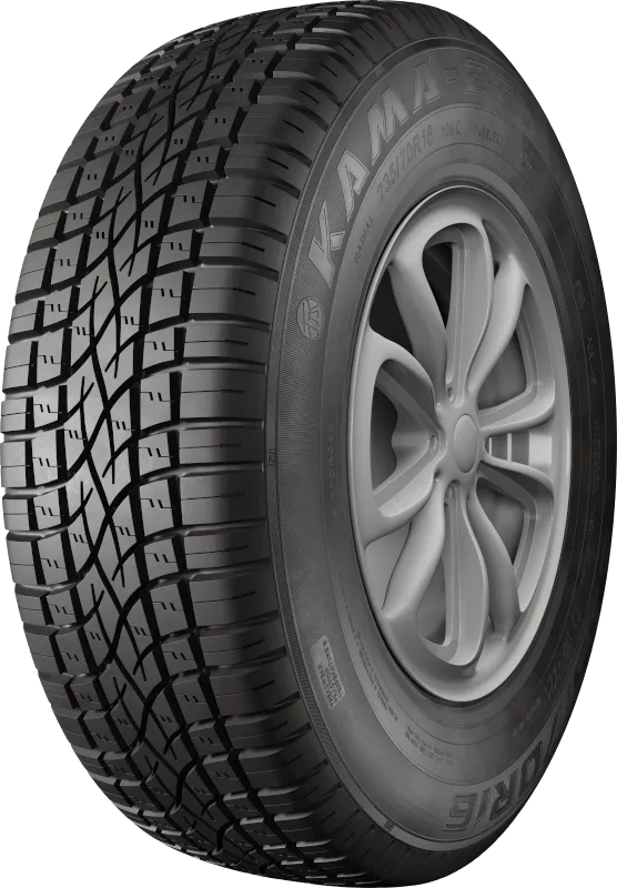 KAMA-221 в Ивделе — KAMA TYRES KAMA-221 в Ивделе